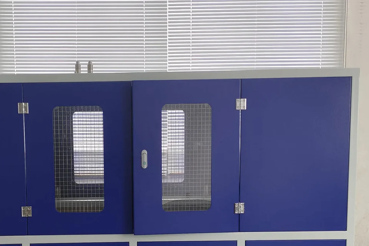 A blue-panelled cabinet with mesh viewing windows in its doors, seen from the front